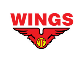 Lowongan Kerja Wings Group