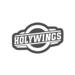 Lowongan kerja PT Aneka Bintang Gading (Holywings Group)