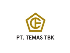 Lowongan Kerja PT Temas Tbk (TMAS)