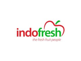 Lowongan Kerja PT Indofresh (IT Support)