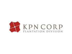 Lowongan Kerja PT KPN Corp Plantation Division