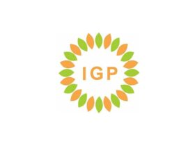 Lowongan Kerja PT IGP Internasional Bantul