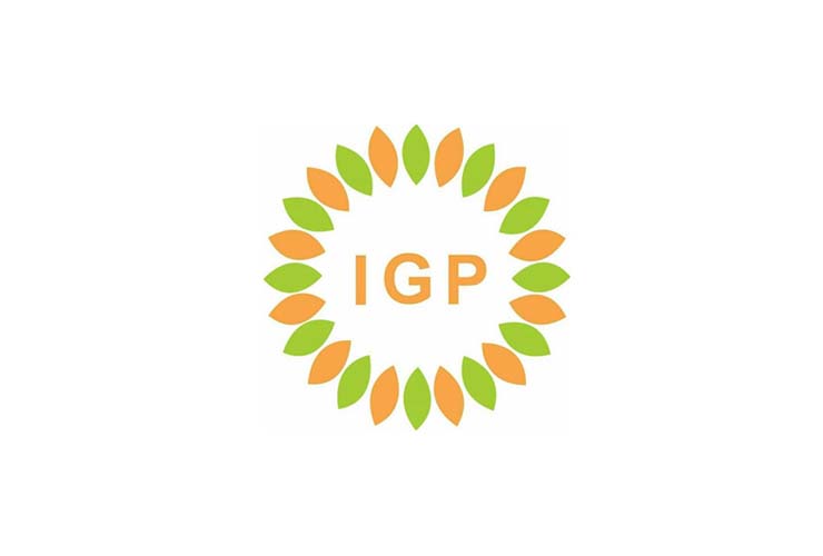 Lowongan Kerja PT IGP Internasional