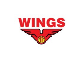 Lowongan Kerja Wings Group Indonesia