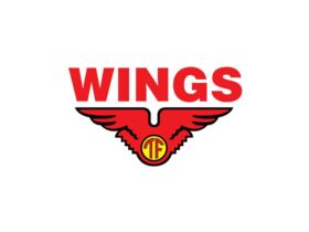 Lowongan Kerja Wings Group