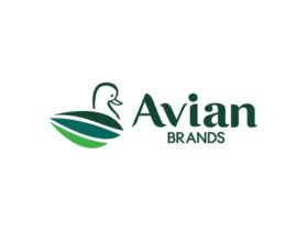 Lowongan Kerja PT Avia Avian Tbk (Avian Brands)